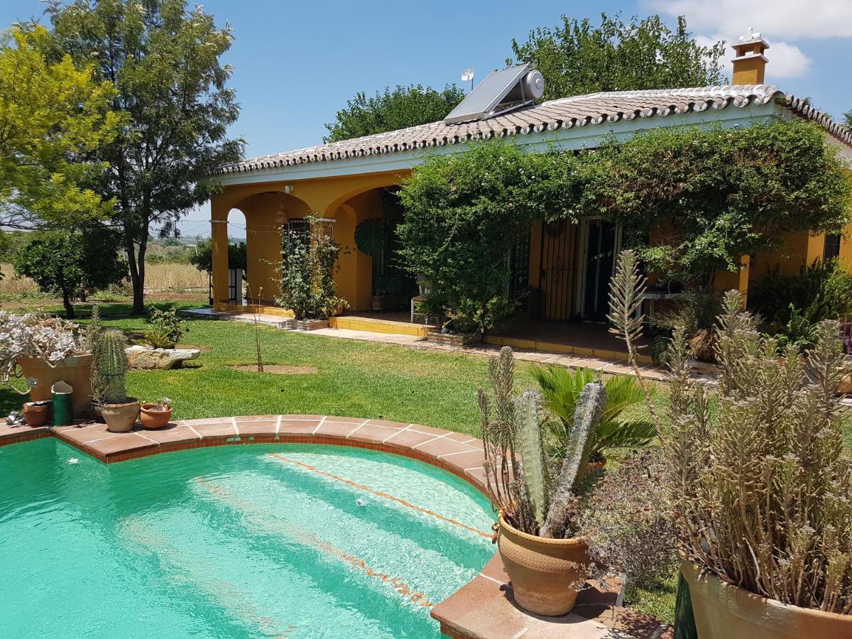 Finca La Gallina Blanca Alhaurín el Grande Zewnętrze zdjęcie