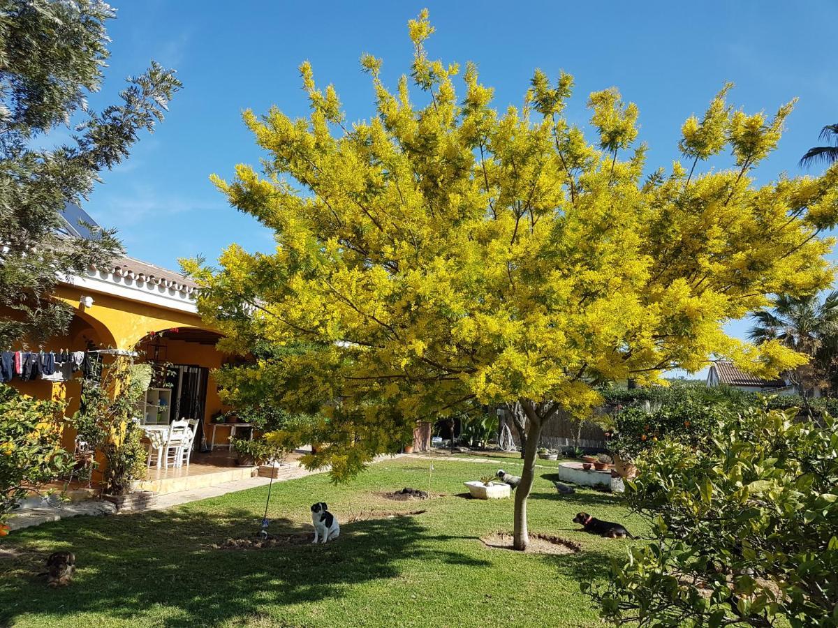Finca La Gallina Blanca Alhaurín el Grande Zewnętrze zdjęcie